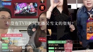 有没有TVB新闻主播吴雪文的资料？