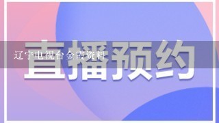 辽宁电视台金霞资料